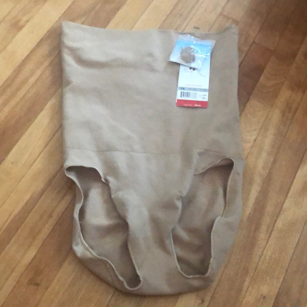 NWT Assets by Spanx Nude High-Waist Panty 1X